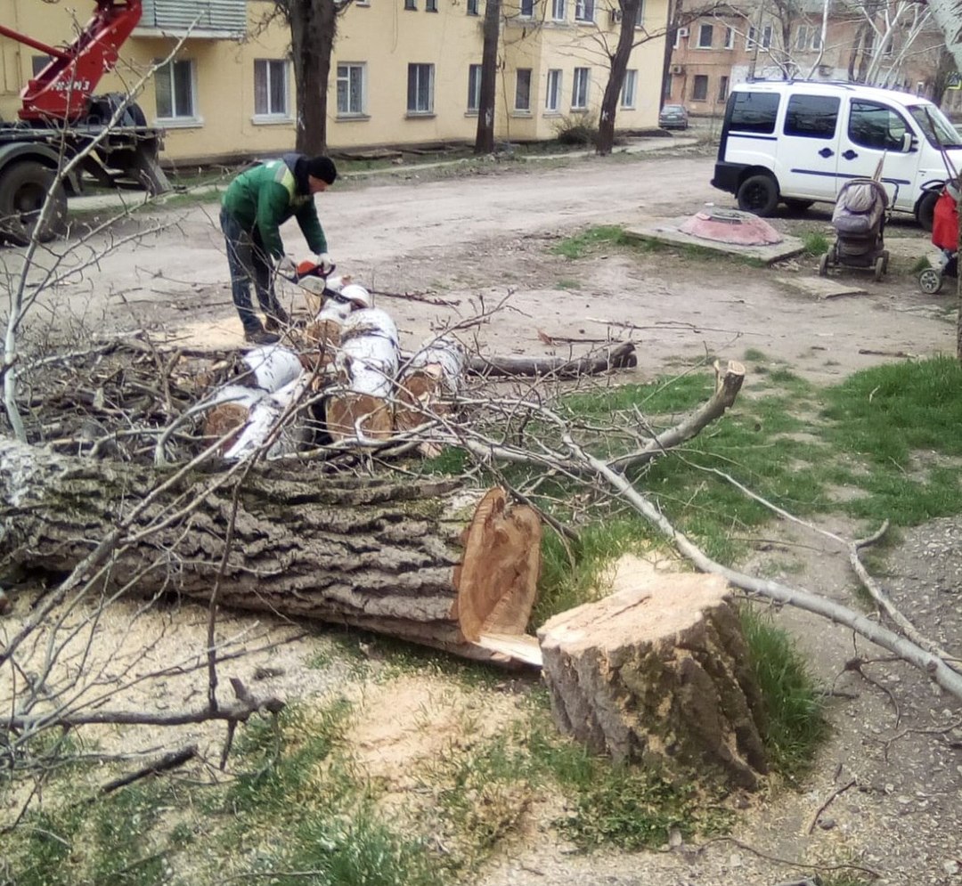 Керченский зеленхоз приступил к весеннему покосу | Правительство Республики  Крым | Официальный портал